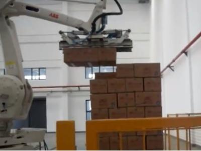 食品行業：鐵廳奶粉裝箱碼垛案例展示